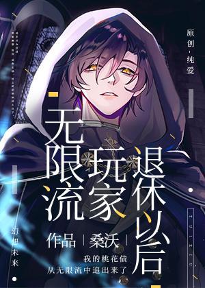 无限流玩家退休以后封面