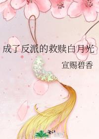 成了反派的救赎白月光封面