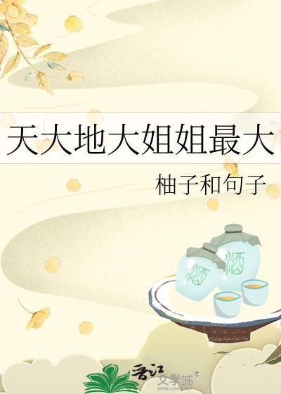 天大地大姐姐最大封面
