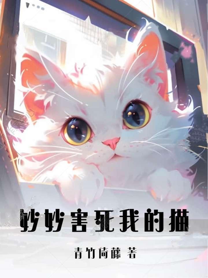 妙妙害死我的猫封面