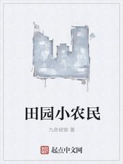 田园小农民封面