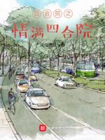 四合院之情满四合院封面