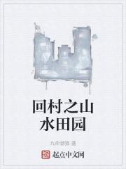 回村之山水田园封面