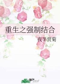 重生之强制结合时瑾封面