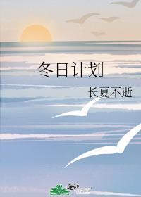 冬日计划封面