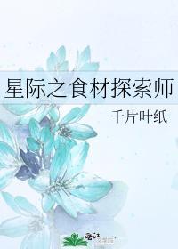 星际之食材探索师封面