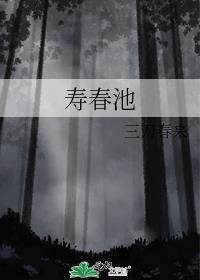 寿春池封面