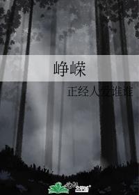 峥嵘封面
