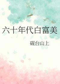 六十年代县城生涯封面