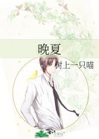 晚夏封面