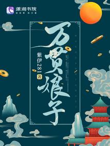 万贯娘子封面