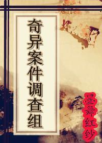奇异案件调查组封面