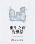 重生之商海纵横封面