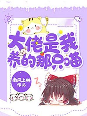 大佬是我养的那只喵封面