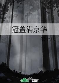 冠盖满京华封面