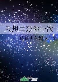 我想再爱你一次封面