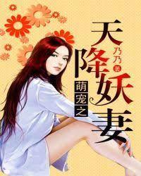 天降妖妻封面