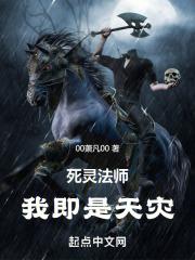 死灵法师,我即是天灾封面