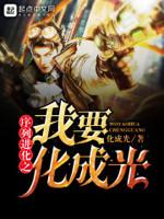 序列进化之我要化成光封面