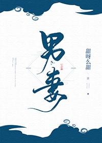 男妻(双性生子)封面
