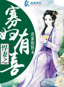 悍妻之寡妇有喜封面