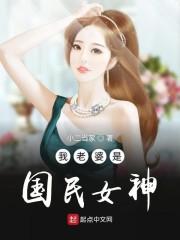 我老婆是国民女神封面