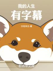 我的人生有字幕封面