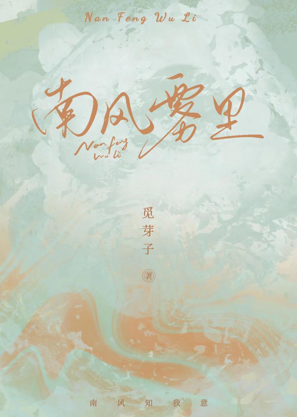 南风雾里封面