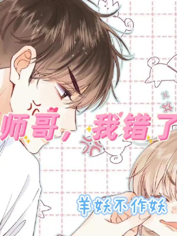 师哥，我错了封面