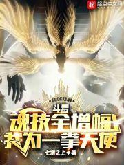 斗罗:魂技全增幅,我为一拳天使封面