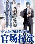 官场权欲：小人物的桃运官路封面
