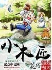 小木匠封面