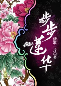 步步莲华封面