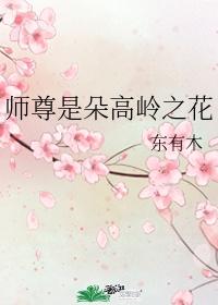双性师尊高岭之花封面