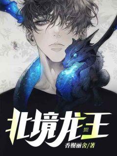 北境龙王封面