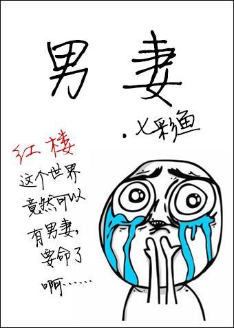 [红楼同人]男妻封面