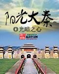阳光大秦封面