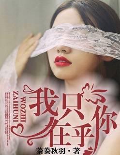 我只在乎你徐洛洛陆瑾城封面