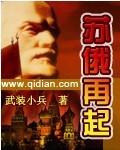 苏俄再起封面