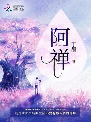 阿禅封面
