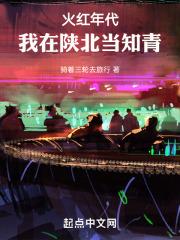 火红年代,我在陕北当知青封面