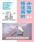 裹紧我的小马甲封面