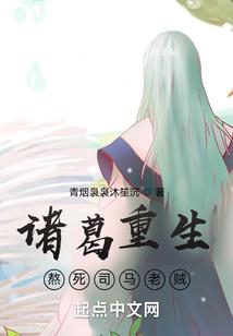 诸葛重生，熬死司马老贼封面
