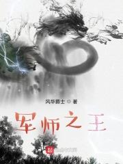 军师之王封面