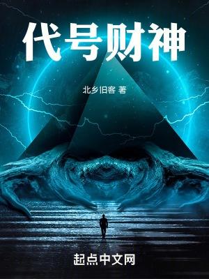 代号财神封面