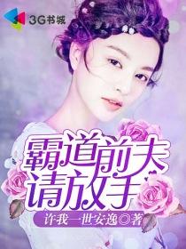 霸道前夫请放手封面