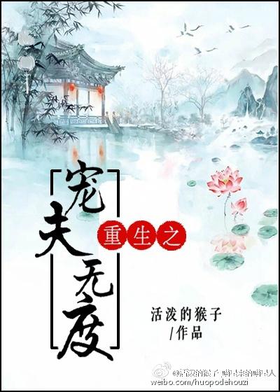 重生之宠夫无度封面