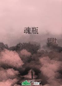 魂瓶封面