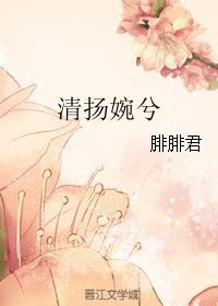 清扬婉兮封面