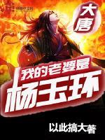 我的老婆是杨玉环封面